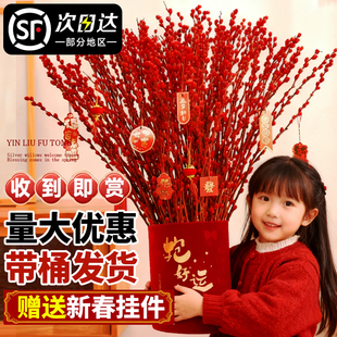 银柳真花鲜枝客厅抱抱福桶装饰摆件干花红色2025过新年宵花卉批发