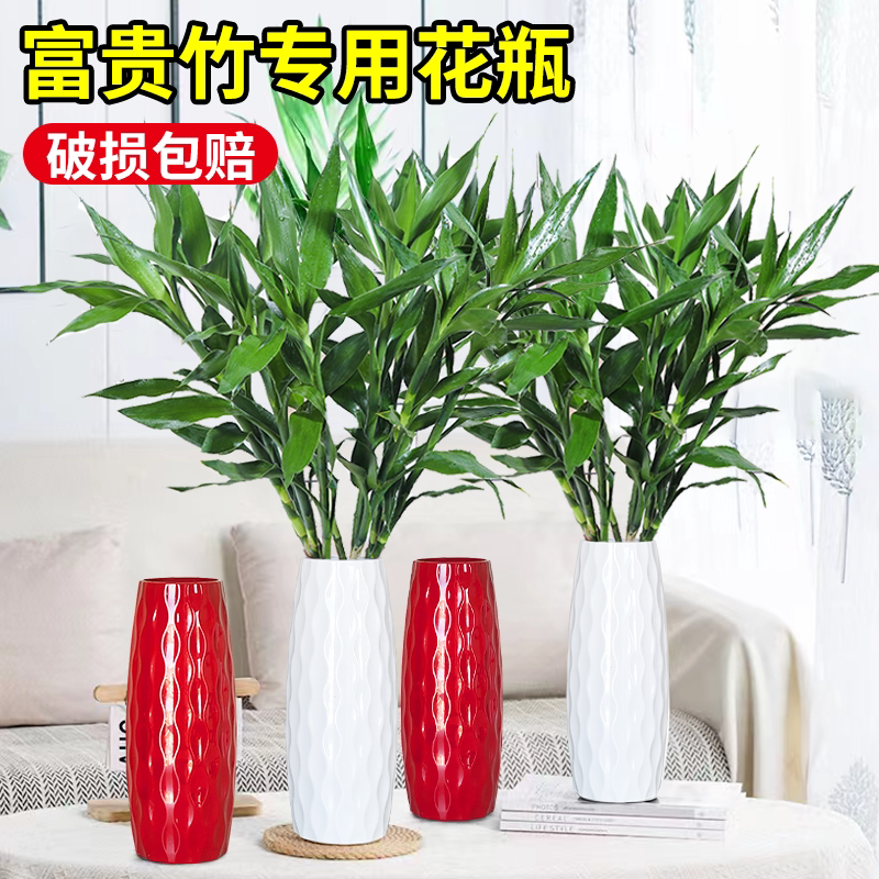 富贵竹专用花瓶耐摔北欧轻奢风图片