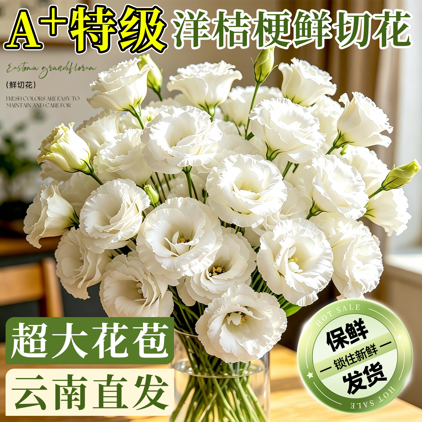 【特级鲜花】洋桔梗鲜花云南直发										