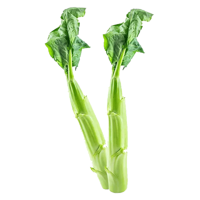 鸡腿芥兰菜种800粒4.8元