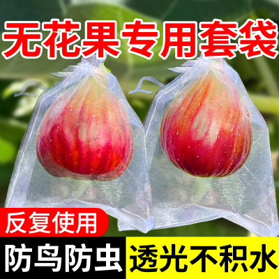 水果套袋防鸟虫专用网保护袋子