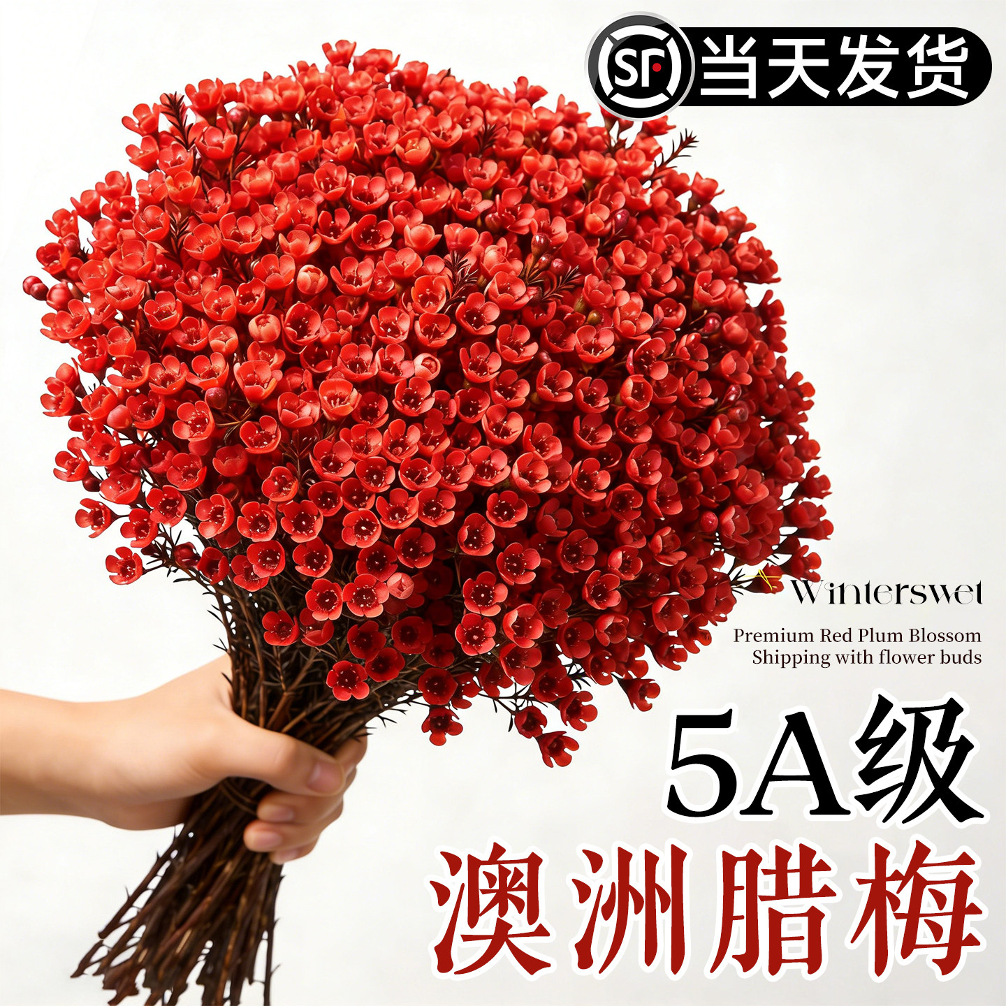 澳洲腊梅鲜花水培植物鲜切花云南直发年宵花盆栽室内小花卉鲜切枝,鲜花速递/花卉仿真/绿植园艺,花材,淘宝优惠券,粉丝福利购,淘宝优惠卷