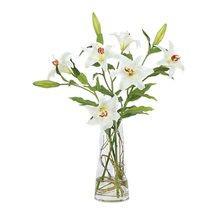 香水百合鲜花云南基地直发多头鲜切花情人节花束插花插瓶重瓣花卉