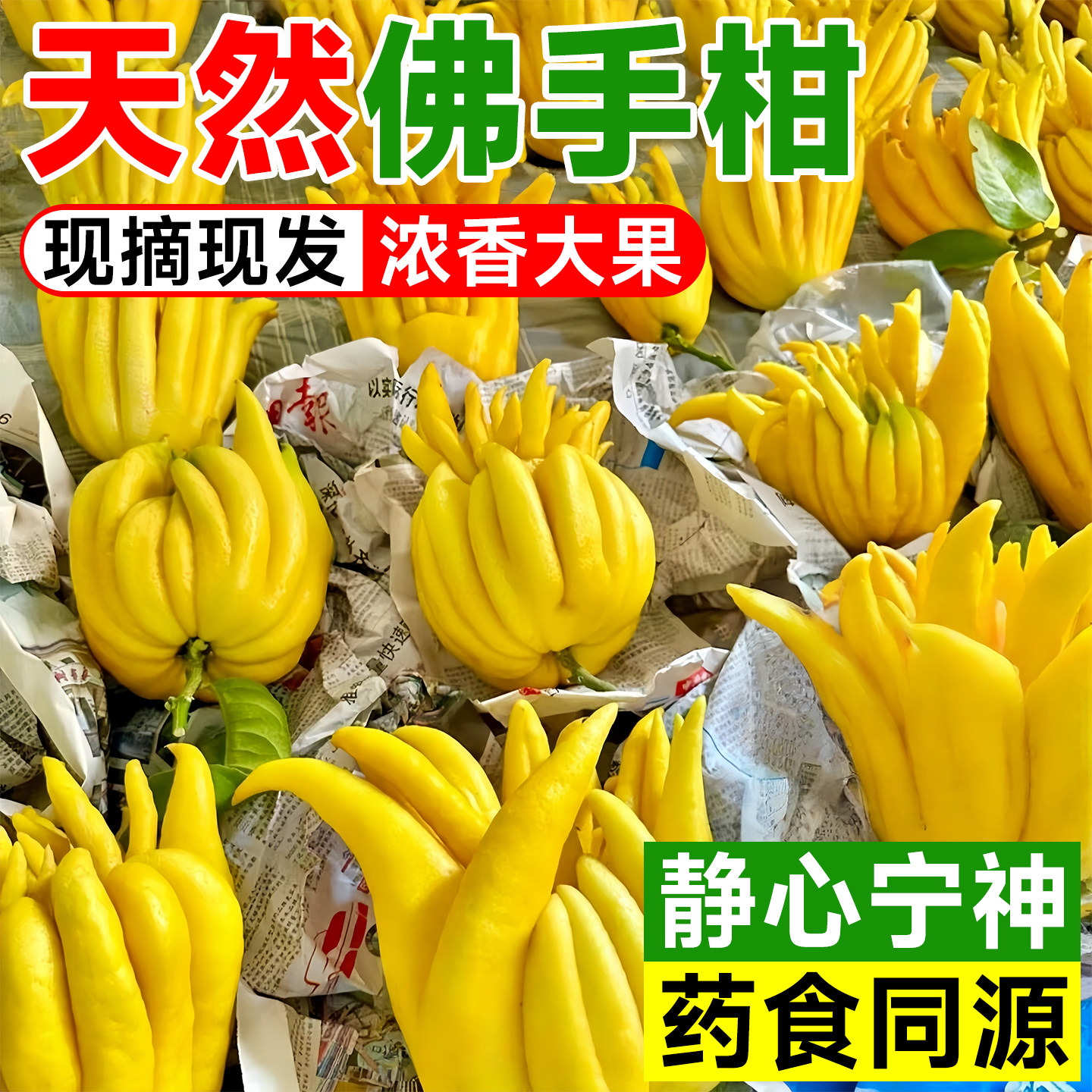 佛手柑新鲜果托盘摆件香薰盆栽佛手瓜客厅桌面车载摆件净化空气