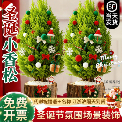 【量大优惠】圣诞节摆件节日送礼