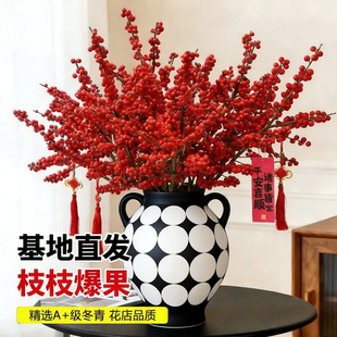 北美冬青红果水培鲜花新年盆栽室内鲜切银柳真花鲜枝年宵花卉水养