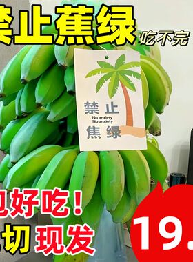 【含瓶】整串禁止蕉绿水培植物
