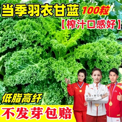 【买2送100粒】0脂肪减肥神器