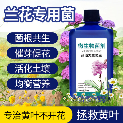 兰灵王花专用肥营养液料