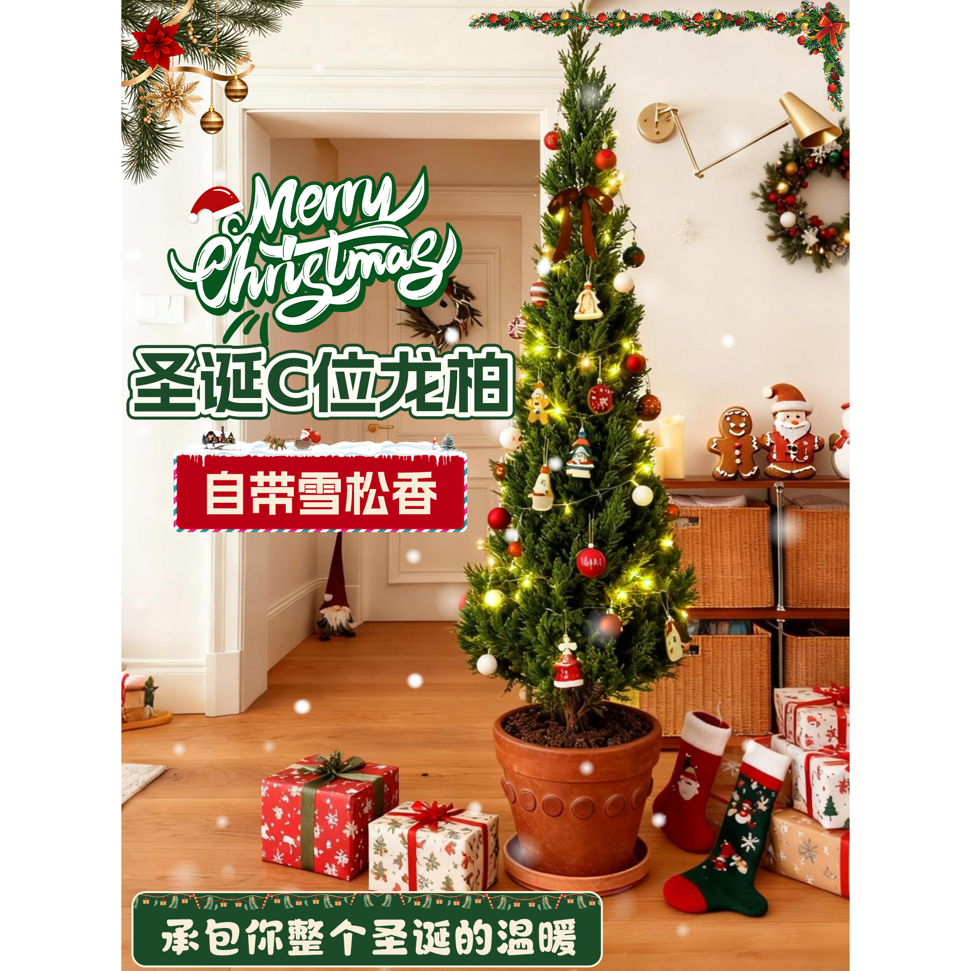 圣诞树真龙柏装饰品礼物室