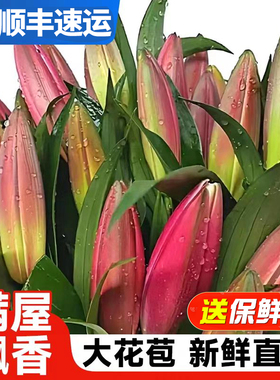 香水百合花鲜花卉云南昆明基地直发新鲜切花顺丰次日达家用插花束