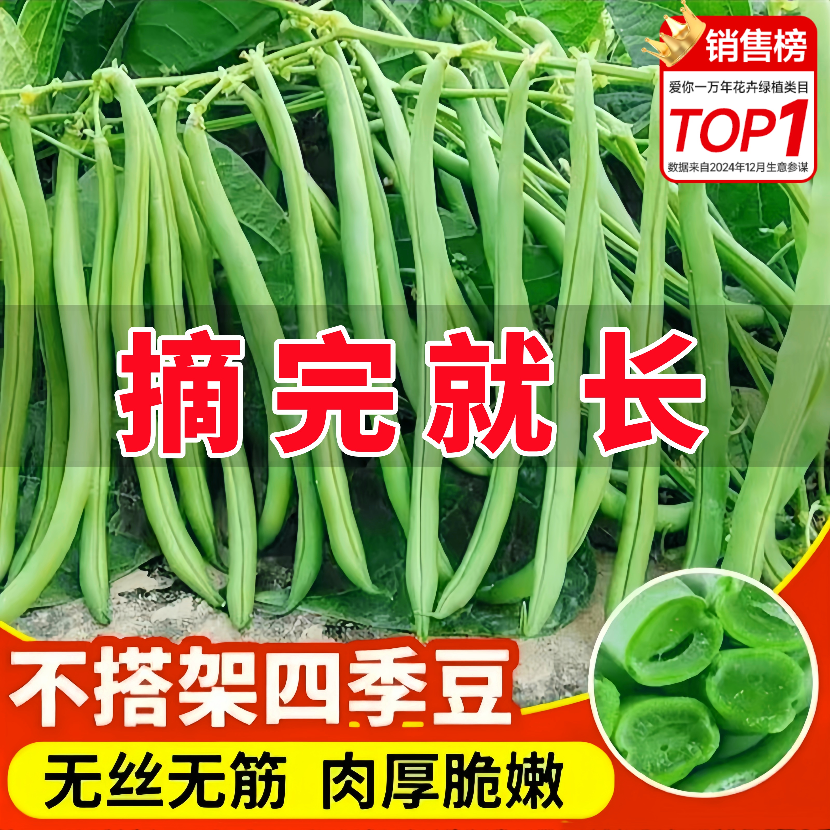 【认准农科院】好评100W+种子