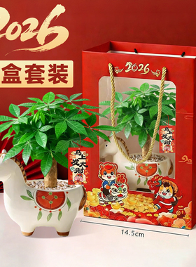马上发财小马新款发财树小盆栽摆件办公室内桌面绿植物马年伴手礼