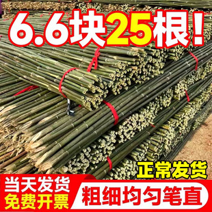 竹竿菜园搭架花园蔬菜架竹杆围栏户外毛竹篱笆防腐耐用彩旗杆竹棍