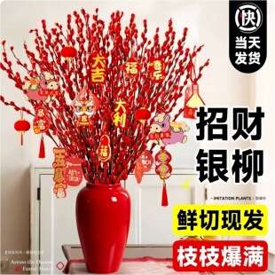 2026银柳真花鲜枝批发干花客厅摆件红色年宵花卉新年氛围装饰水培