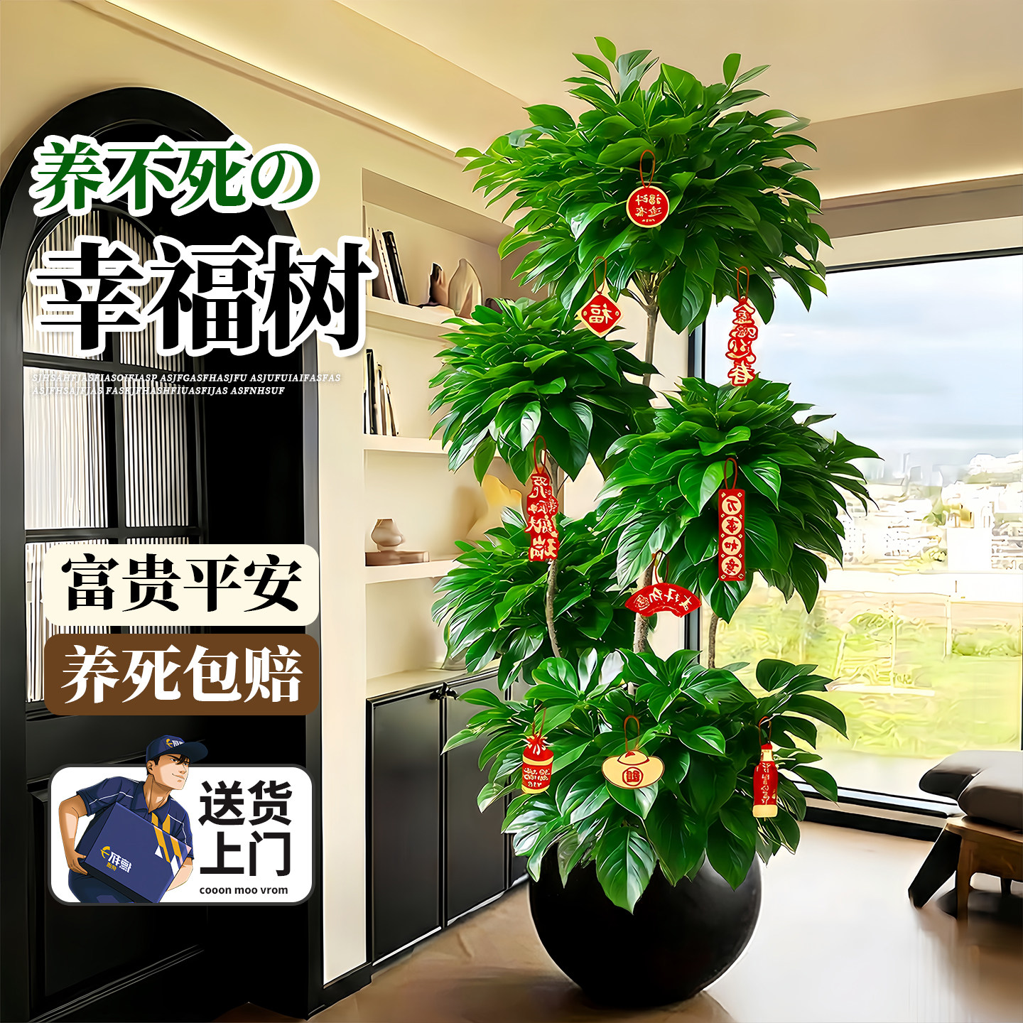 幸福树客厅大盆栽室内高级感客厅落地植物大型绿植盆景四季好养