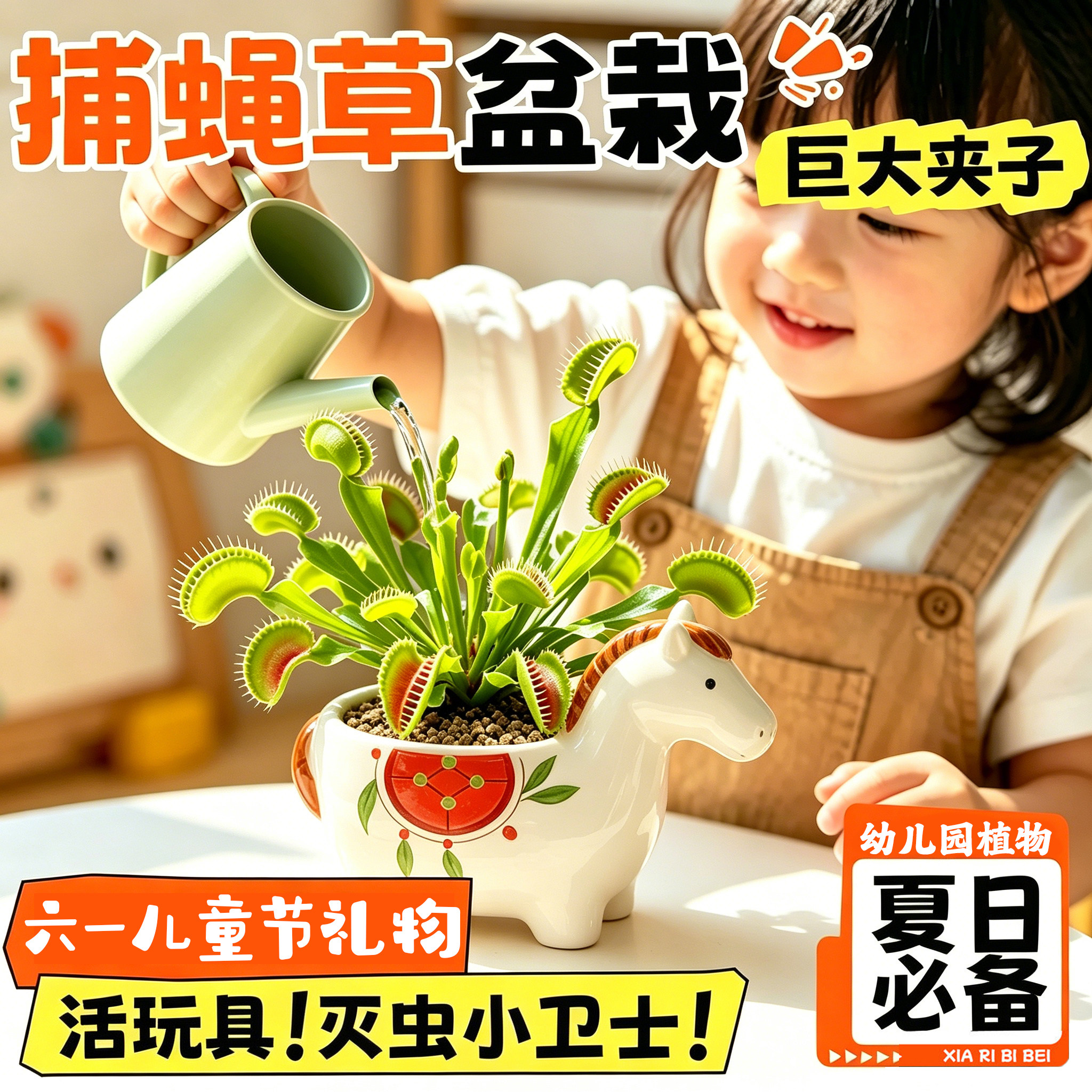 超大捕蝇草盆栽猪笼草驱蚊草捕虫草六一儿童节幼儿园绿植室内桌面