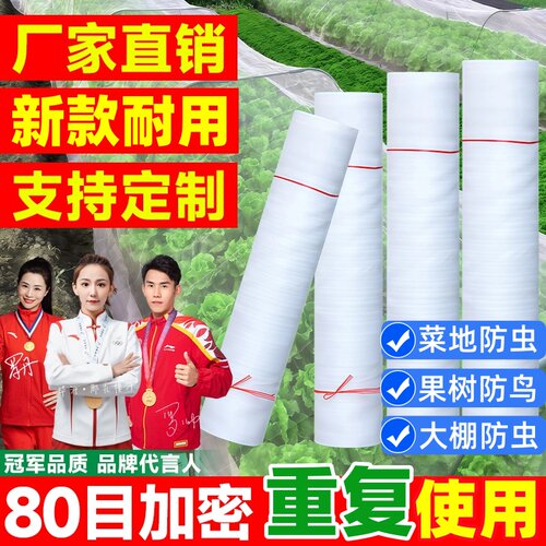 种菜专用！80目加密防虫网