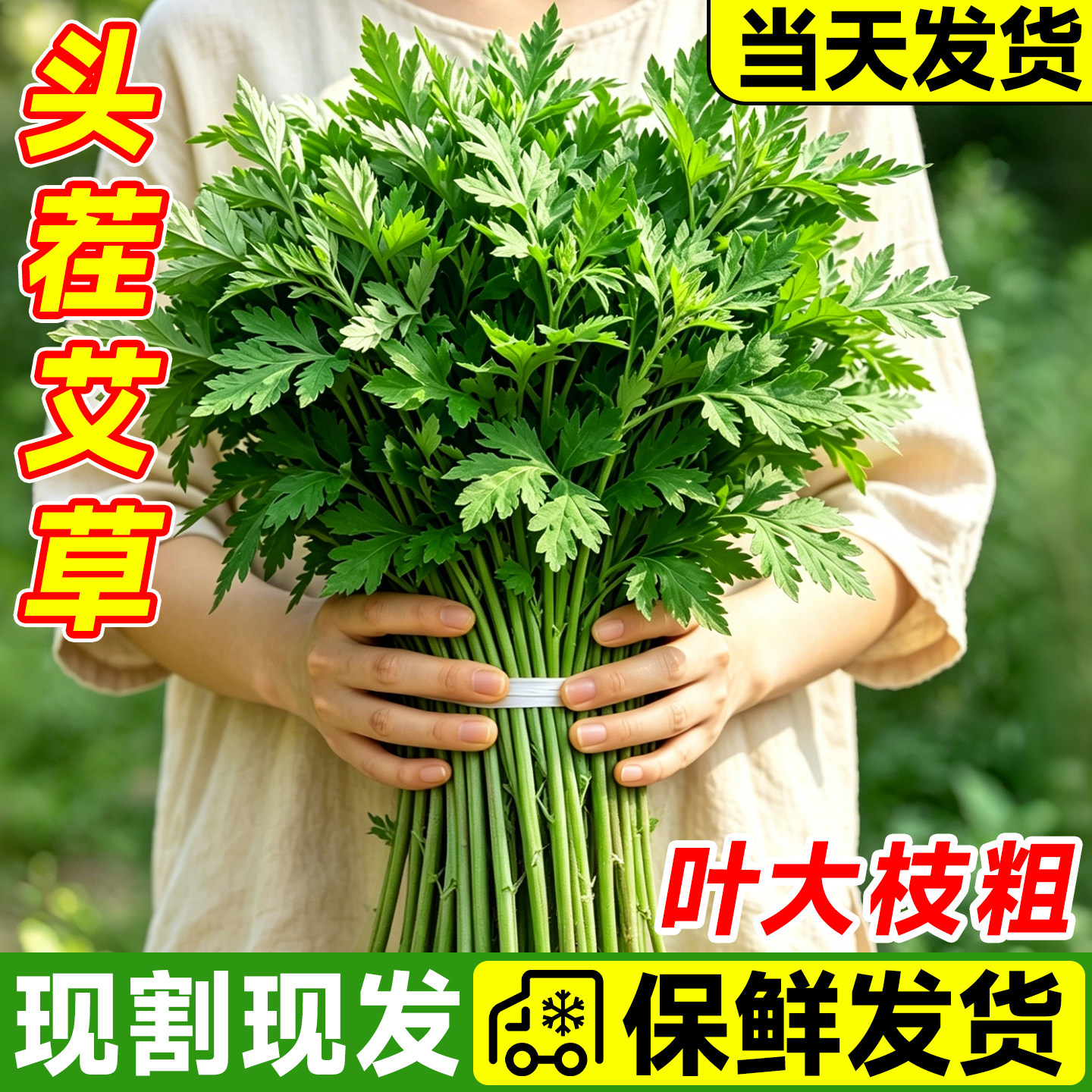 端午节艾草花束新鲜艾叶草手工diy材料香包菖蒲鲜花挂饰驱蚊门挂