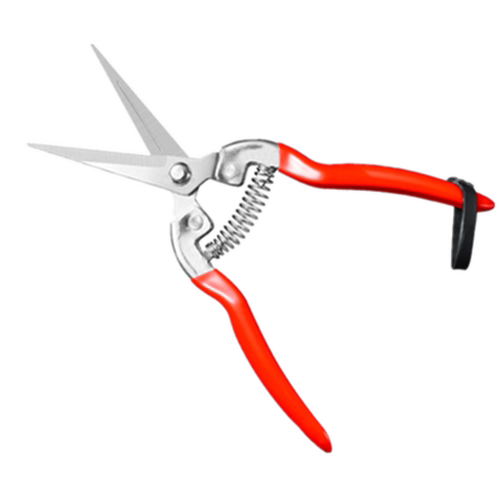 不锈钢摘果剪刀稀果修果剪葡萄专用剪刀翘头蔬果采果剪子橘子枝剪