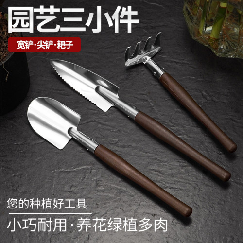不锈钢迷你多肉盆栽家用园艺工具