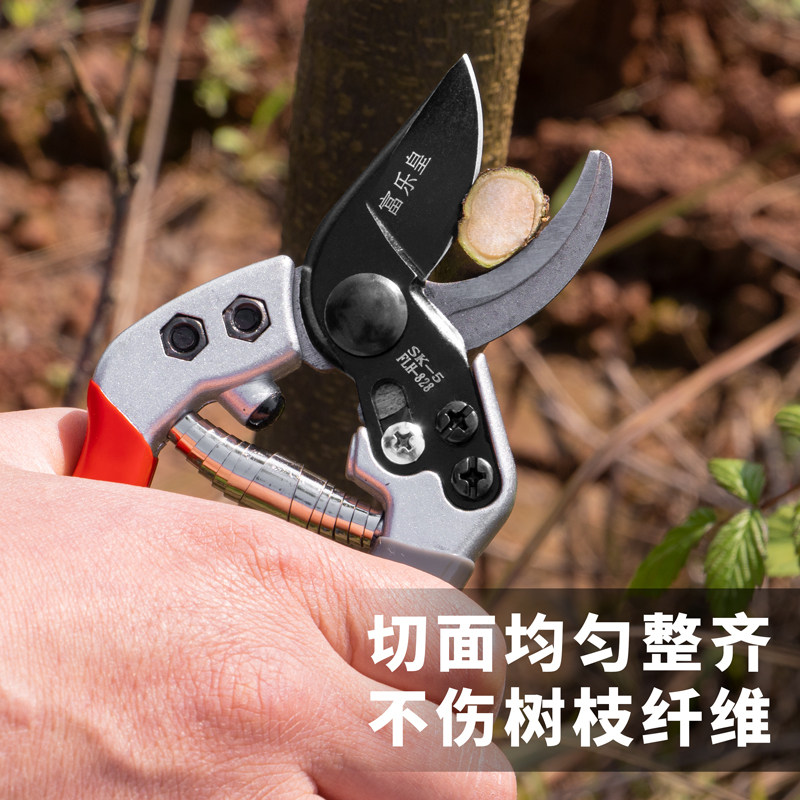 极速家用修花剪刀修枝剪花卉园艺林粗树枝果剪树木盆景绿化火龙果