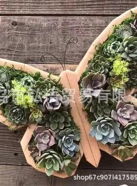 跨境动物多肉花园布置花盆园林微景观花园园林广场树脂工艺品盆栽