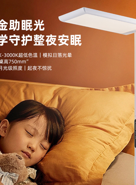 德国LEDVANCE朗德万斯铂学Pro立式台落地灯护眼灯学习专用大路灯