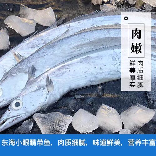 东海野生小眼带鱼新鲜海鲜水产带鱼段