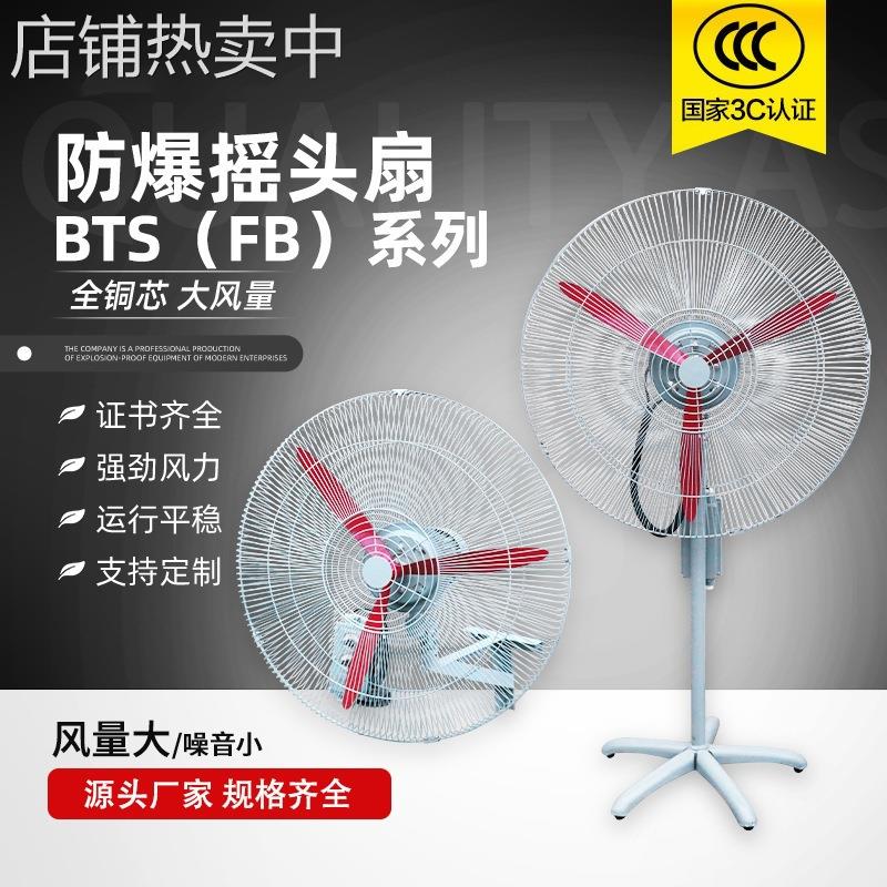 防爆风扇 FB挂壁式BTS-500600 750落地立式工业大功率可调速风扇