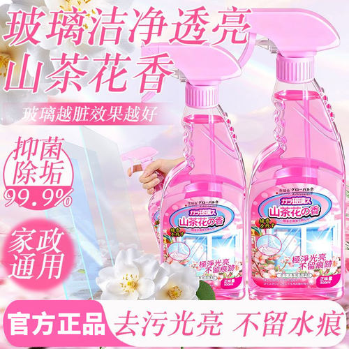玻璃清洁剂家用擦窗保洁专用玻璃水强力去污除垢窗户镜子清洗神器