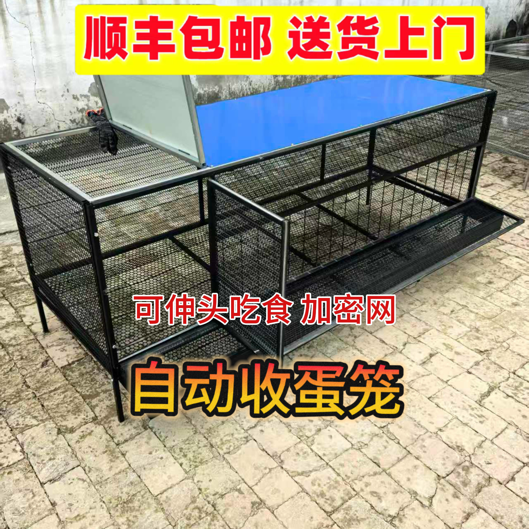 防黄鼠狼自动滚蛋笼养殖笼
