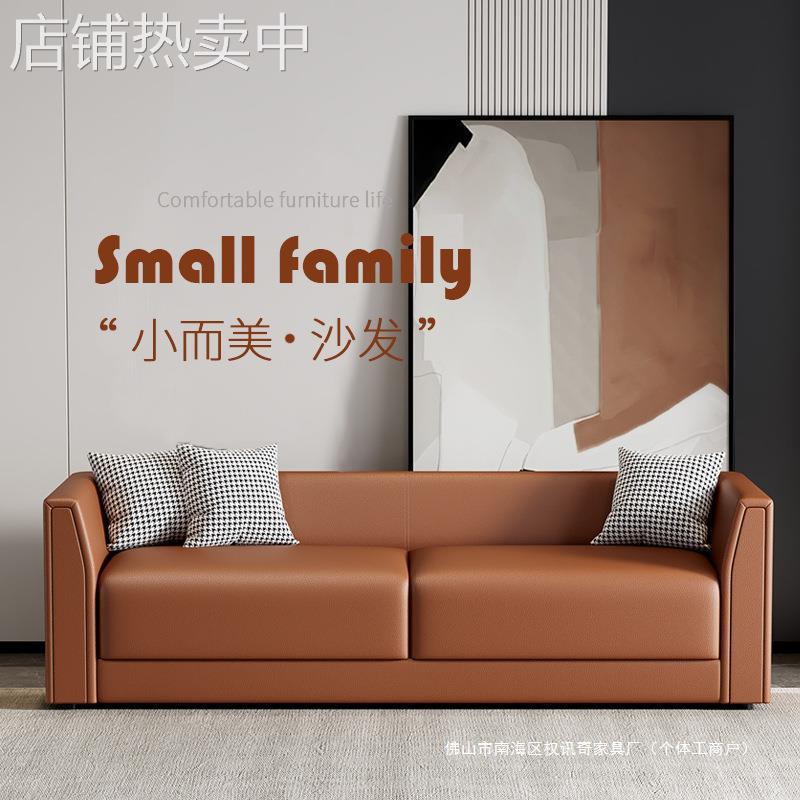 科技布现代简约皮艺沙发小户型二三人客厅公寓出租房轻奢网红家具