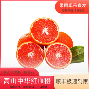 湖北省硒都巴东特产江畔血橙盒装包邮新品特惠