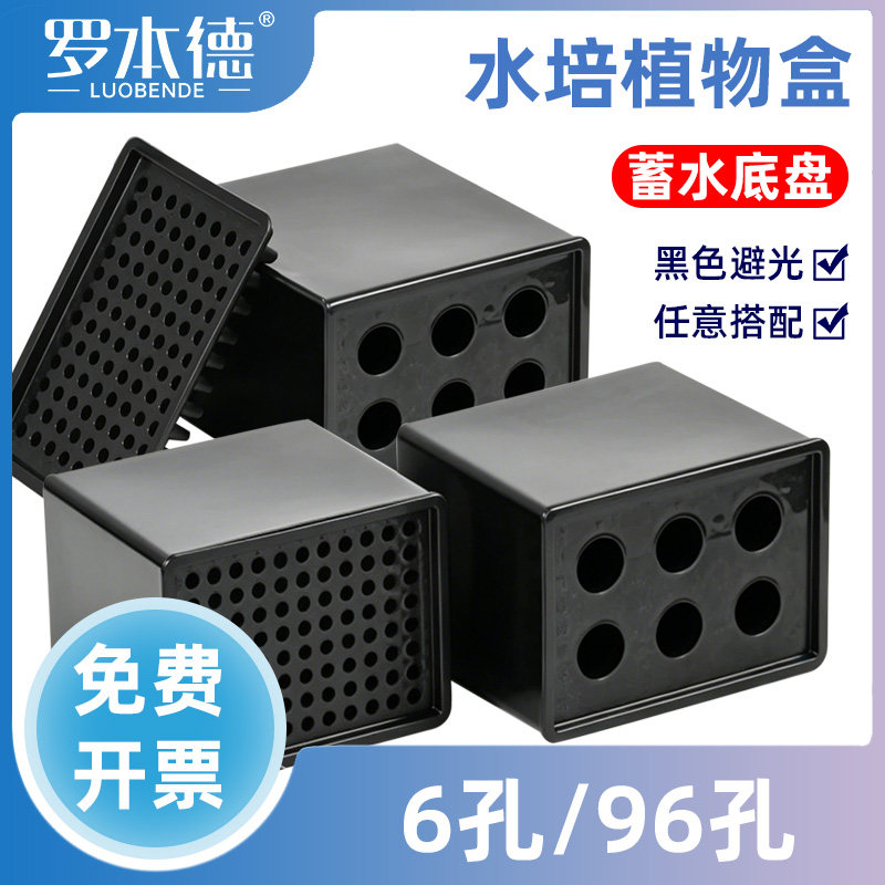 实验室植物水培盒 6 孔 / 96 孔组合黑色避光款 水稻小麦培育盒 无土栽培育苗盘带定植棉/定植篮蔬菜育苗器材
