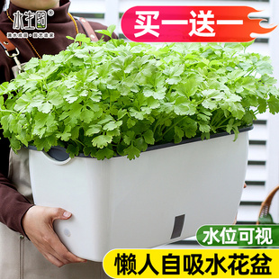 懒人盆阳台蔬菜草莓韭菜种植盆长方形自吸水家用大号特大水培花盆