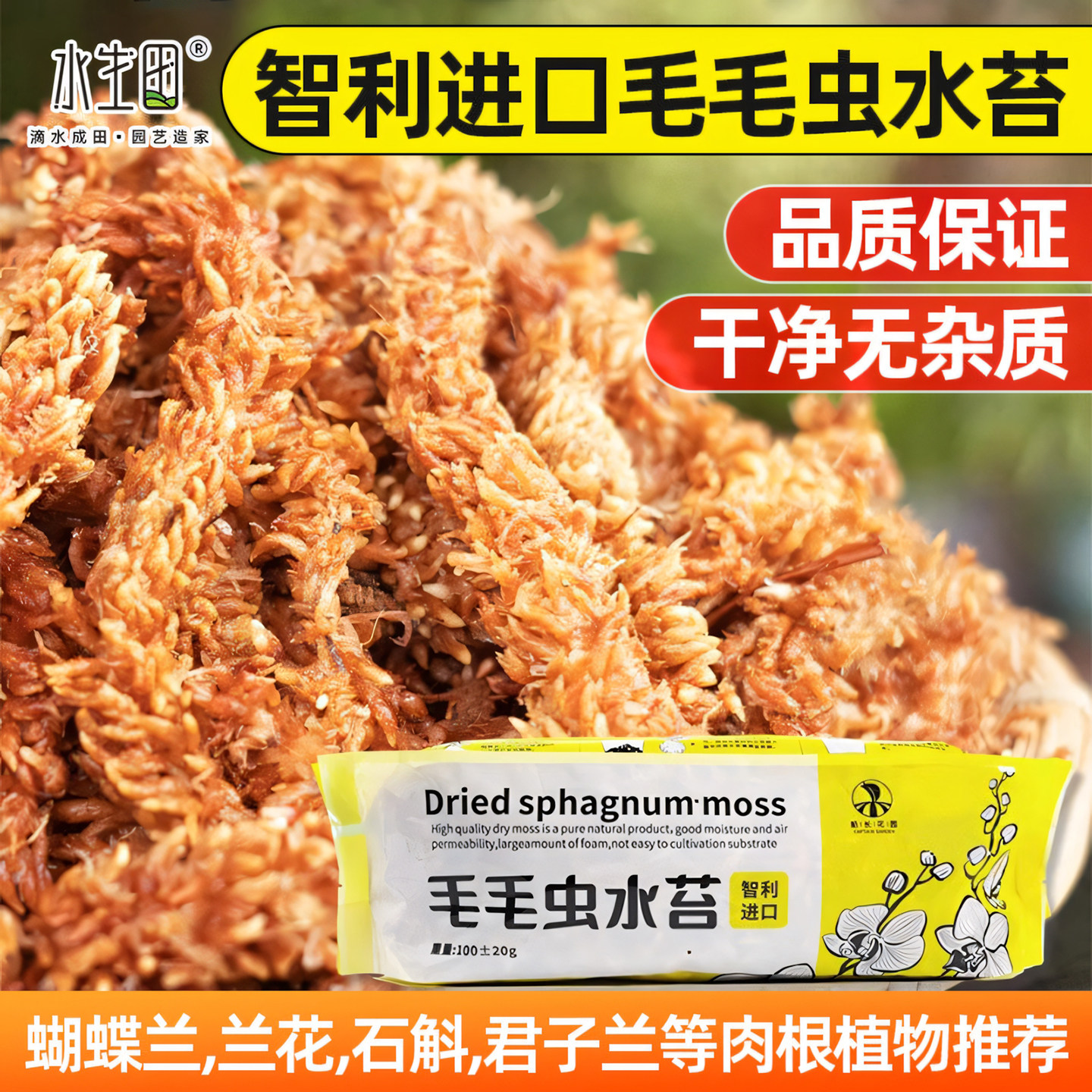 智利进口毛毛虫水苔蝴蝶兰花干苔藓青爬宠乌龟专用冬眠垫材营养土