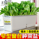 阳台种菜盆家用专用塑料长条方形花盆自吸水窗台窄型庭院加厚耐用