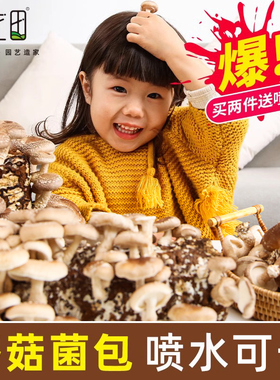 蘑菇种植包菌种菌包家种菌菇香菇黑平菇盒子家庭食用新鲜盆栽菌棒