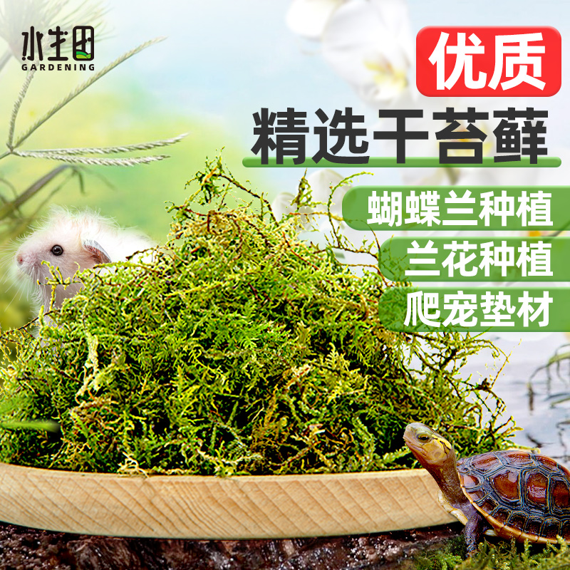 干水苔蝴蝶兰专用干苔藓批发兰花专用土爬宠乌龟垫材水台石斛种植-封面