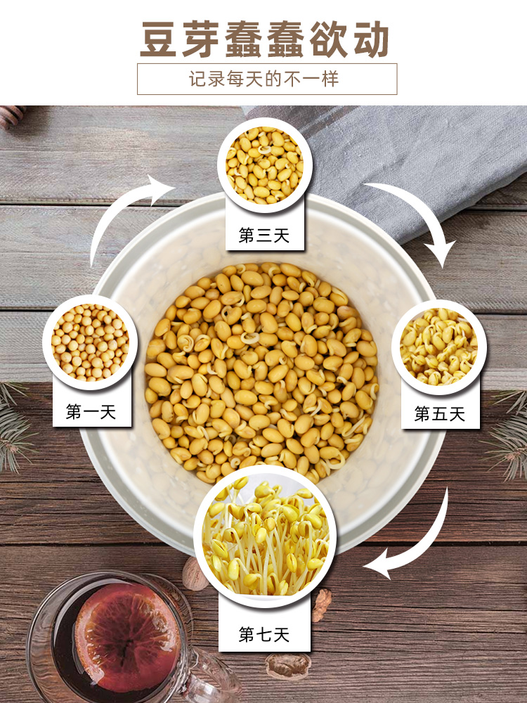 豆芽机家用发豆芽神器生豆芽罐豆牙盆桶家庭小型自制绿豆大容量