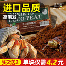 椰砖爬宠寄居蟹专用乌龟仓鼠垫料椰糠苔藓冬眠用品爬虫保湿 温椰土