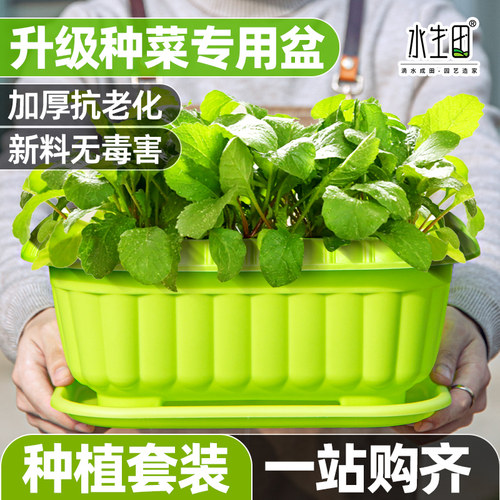 种植套餐塑料田园家用阳台种菜盆