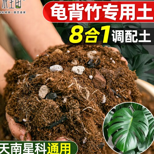 水生田天南星科专用营养土龟背竹