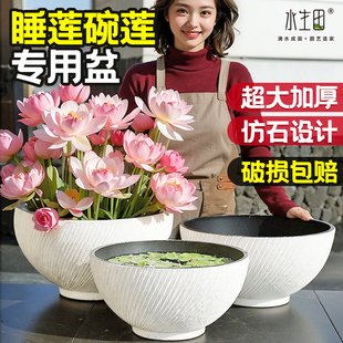 碗莲盆荷花盆缸大号塑料家用铜钱草一叶莲睡莲水培无孔水养花盆