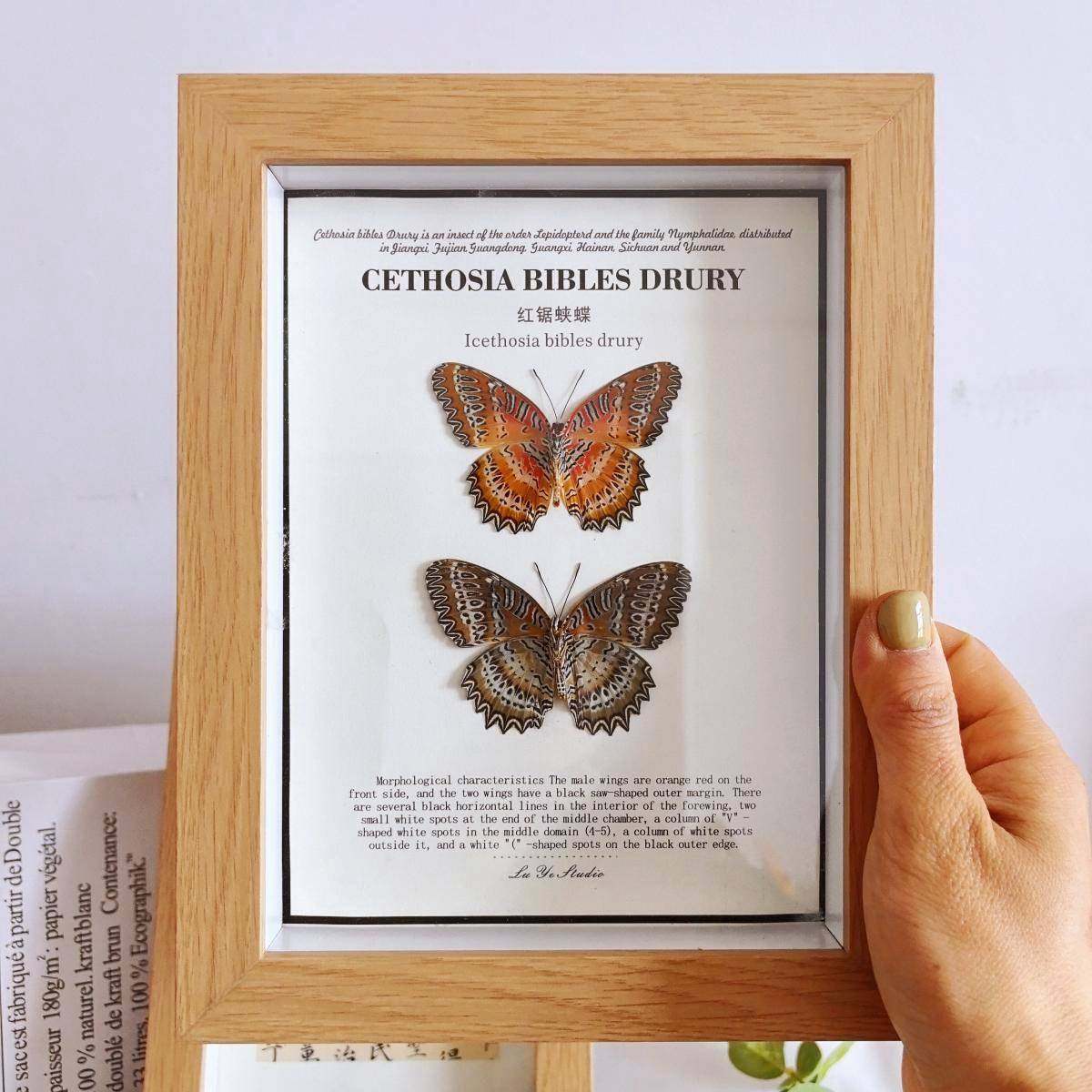 木质玻璃中空相框蝴蝶昆虫标本框黑6寸摆台装裱自装8寸展示框,家居饰品,DIY亲子装饰画,淘宝优惠券,粉丝福利购,淘宝优惠卷