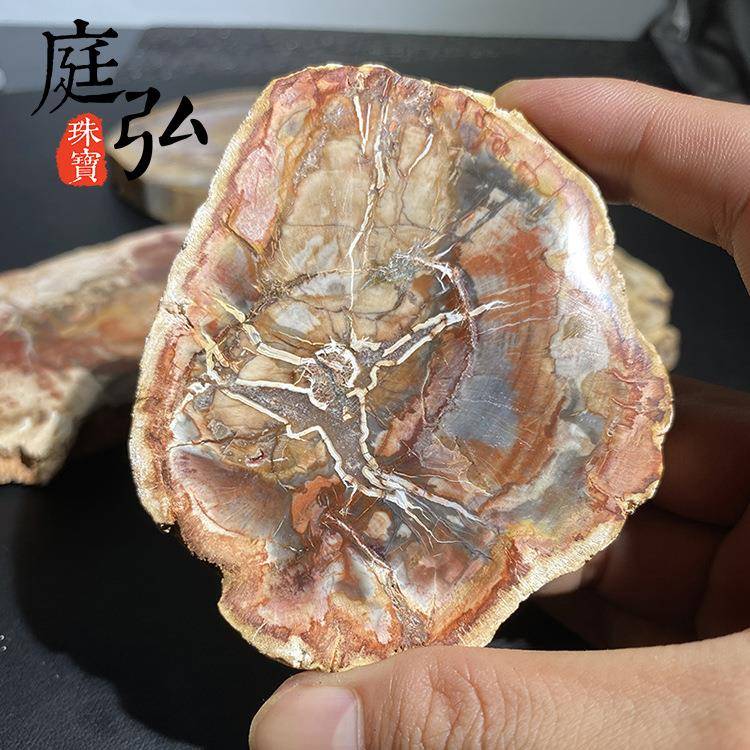 天然木化石切片树化玉原石切片风景石景观奇石茶杯垫底座家居摆件