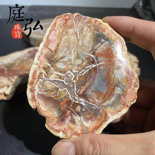 天然木化石切片树化玉原石切片风景石景观奇石茶杯垫底座家居摆件