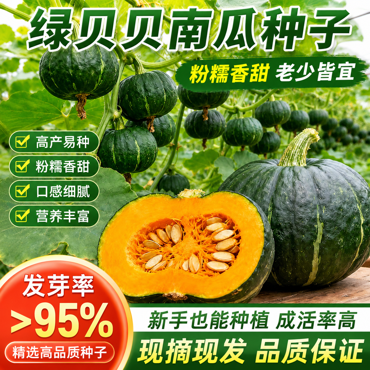 绿贝贝板栗小南瓜种子苗香甜软糯阳台盆栽庭院高产春季蔬菜种籽孑