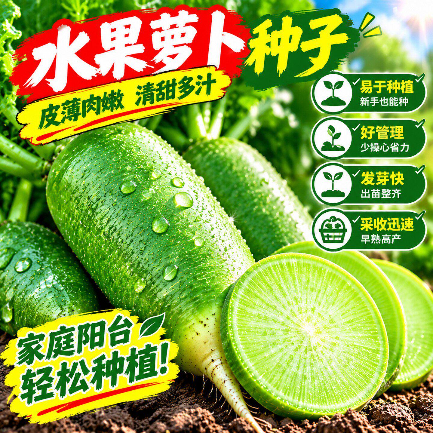 水果萝卜种子沙窝萝卜种籽凤梨冰糖心青萝卜四季种植蔬菜大全种孑